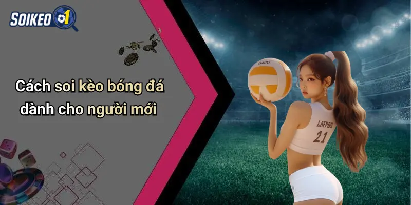 Cách soi kèo bóng đá dành cho người mới