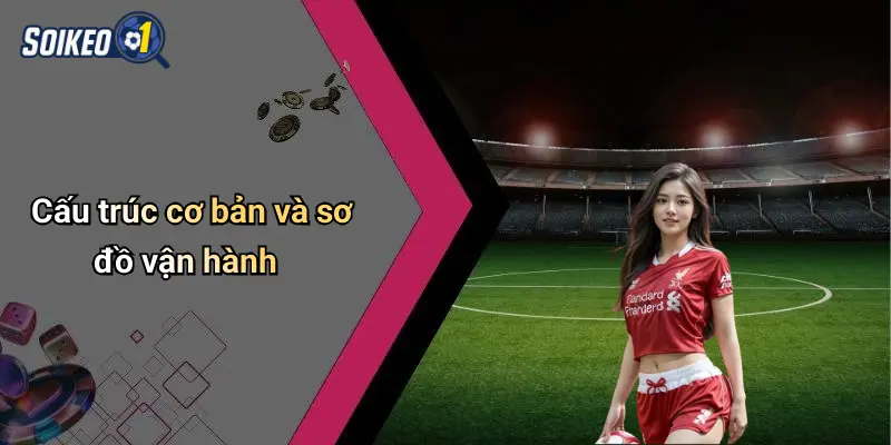 Cấu trúc cơ bản và sơ đồ vận hành