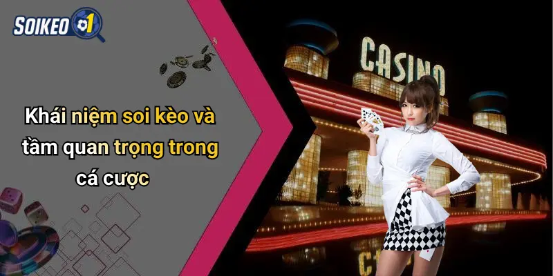 Khái niệm soi kèo và tầm quan trọng trong cá cược