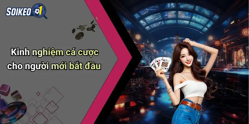 Kinh nghiệm cá cược cho người mới bắt đầu